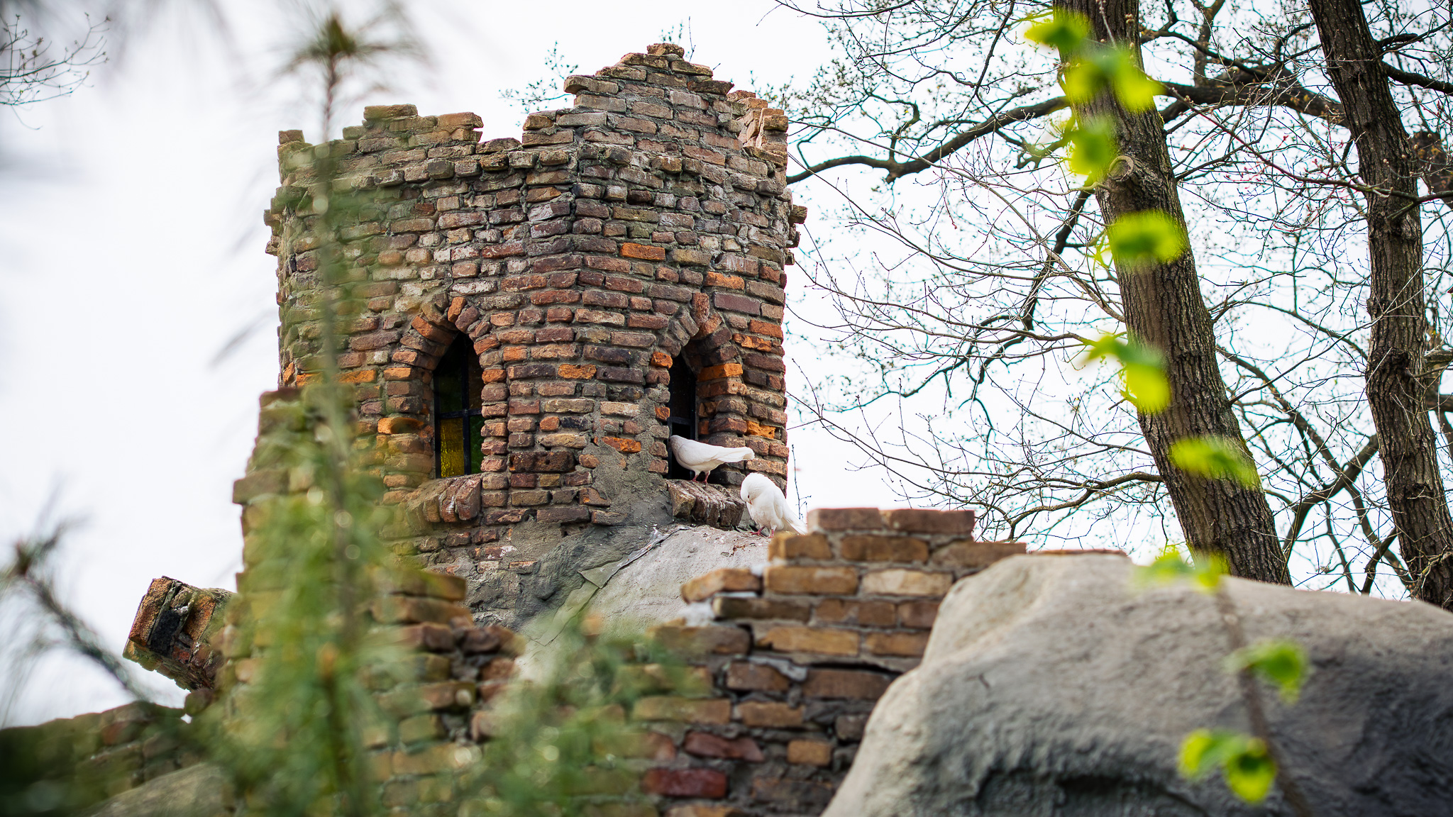 Het Bruidskleed van Genoveva