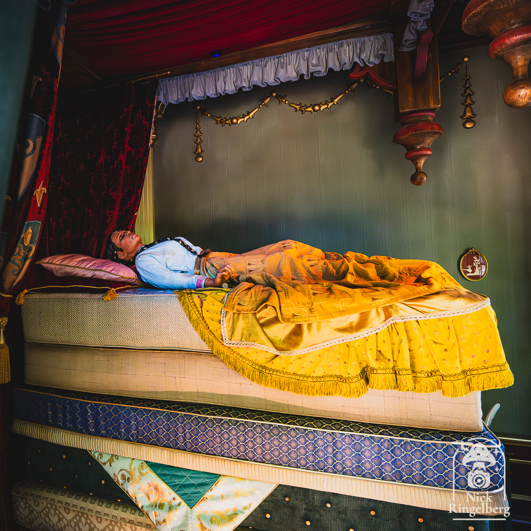 De Prinses op de Erwt