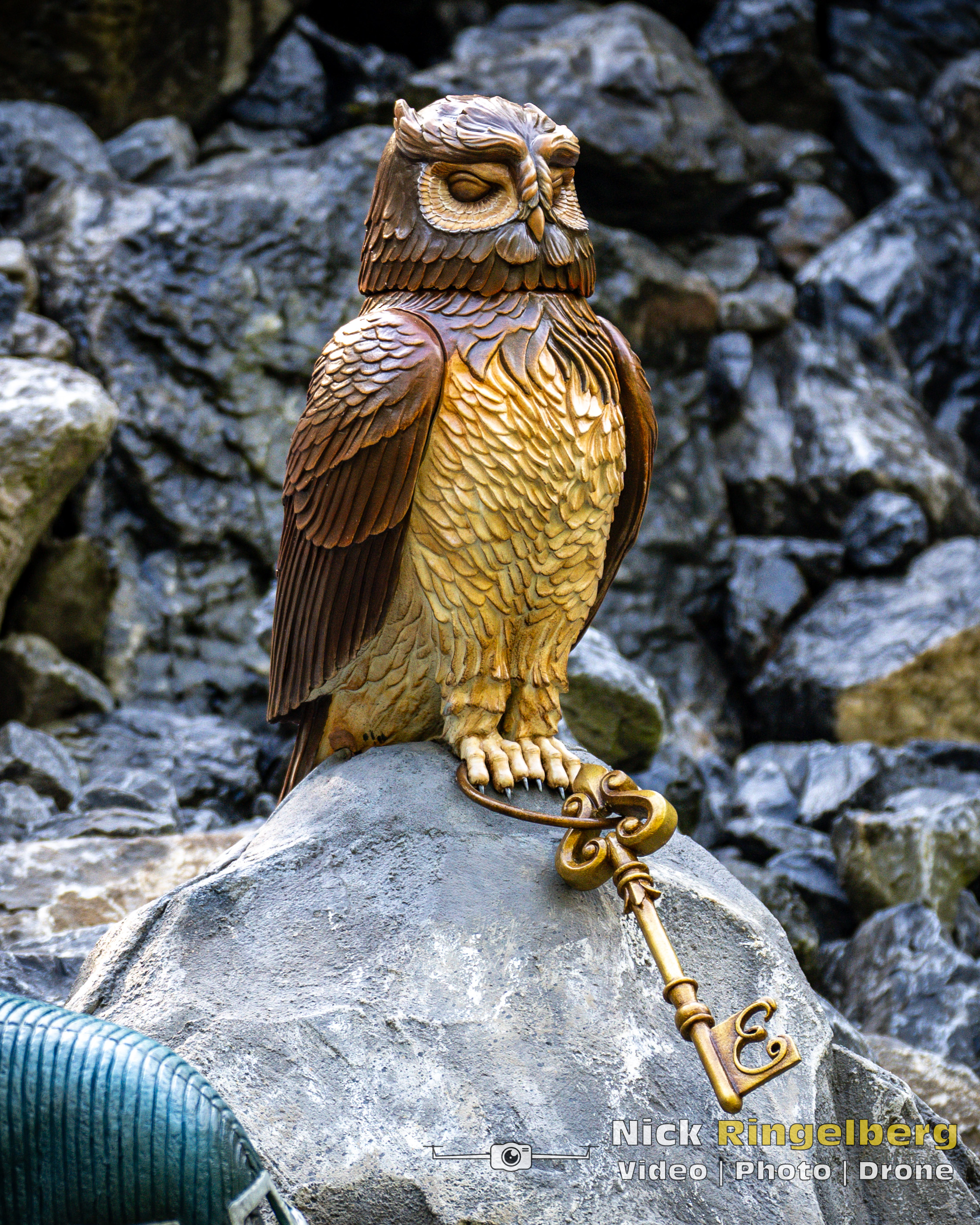 Doornroosje Detail foto wachter en uil