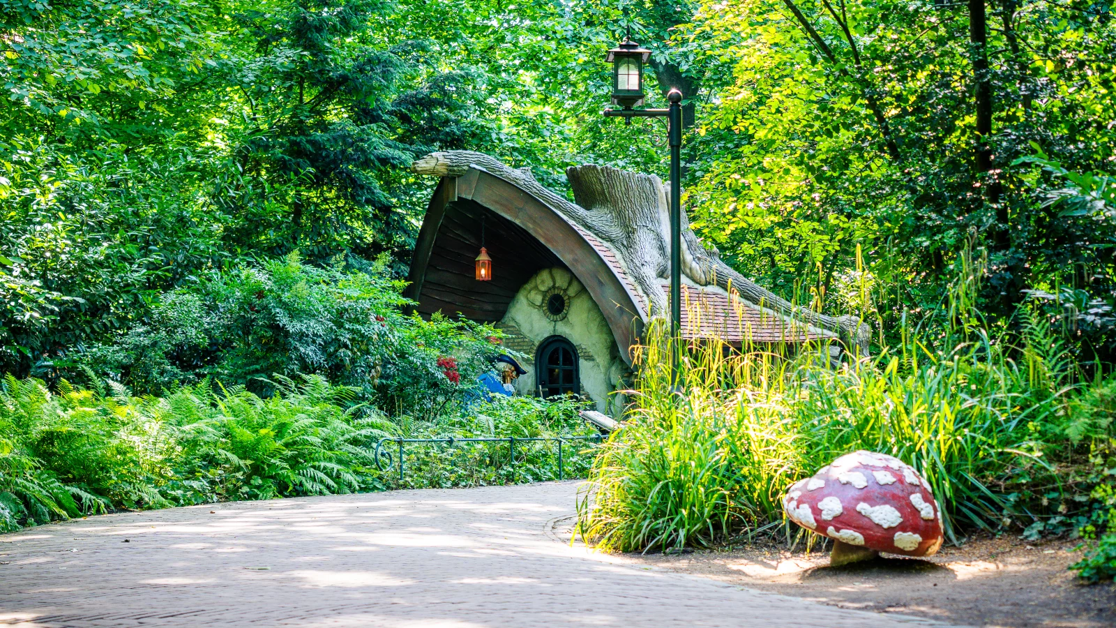 Paddenstoel Sprookjesbos